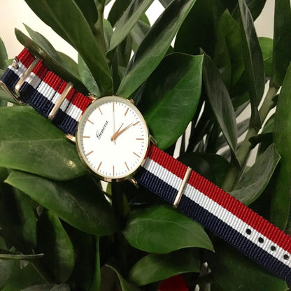 The explosion of Geneva foreign trade sports watch with nylon canvas belt watch male fashion factory direct sales business